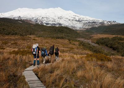 Hikers at Tongariro National Park